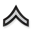 Black w/ Lt. grey stripe