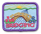 Bridging Fun Patch