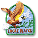 Eagle Watch