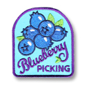 Blueberry Picking