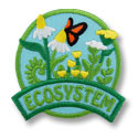 Ecosystem