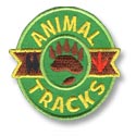 Animal Tracks