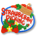 Strawberry Picking