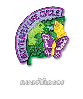 Butterfly Life Cycle