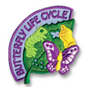 Butterfly Life Cycle