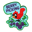 Berry Picking