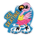Ice Skating