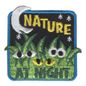 Nature at Night