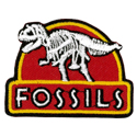 Fossils