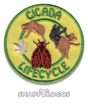 Cicada Lifecycle