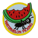Watermelon Picking