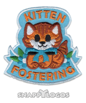 Kitten Fostering